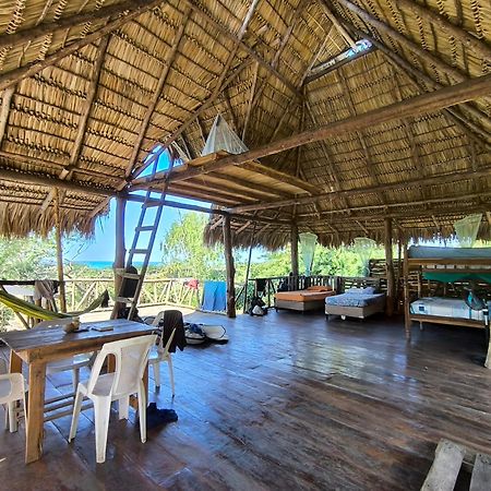 Palapa Hostel Transito Экстерьер фото