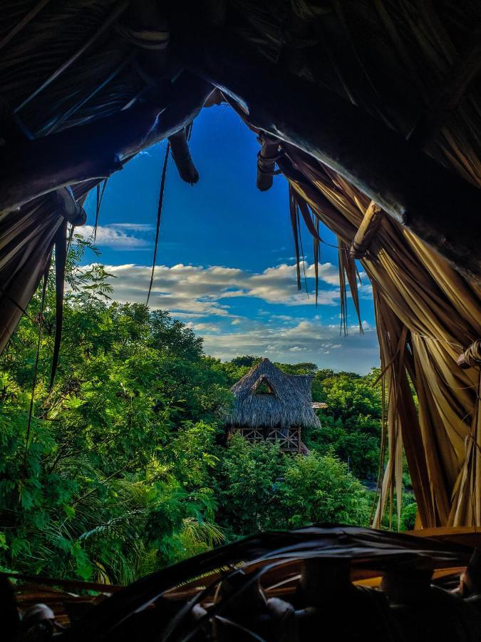 Palapa Hostel Transito Экстерьер фото