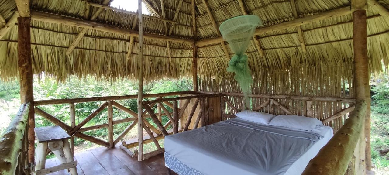 Palapa Hostel Transito Экстерьер фото