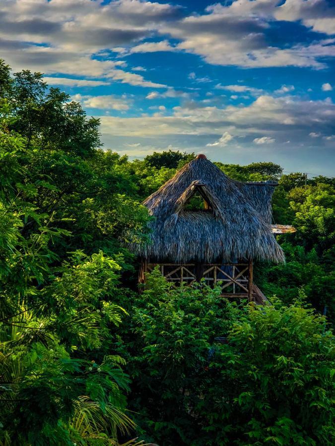 Palapa Hostel Transito Экстерьер фото