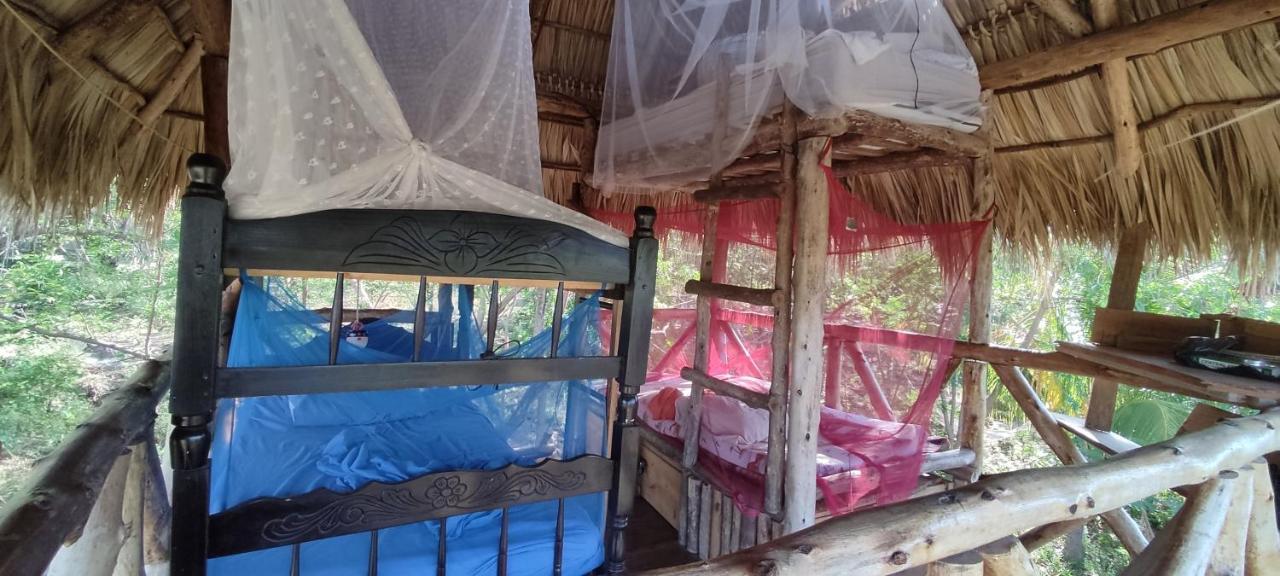 Palapa Hostel Transito Экстерьер фото