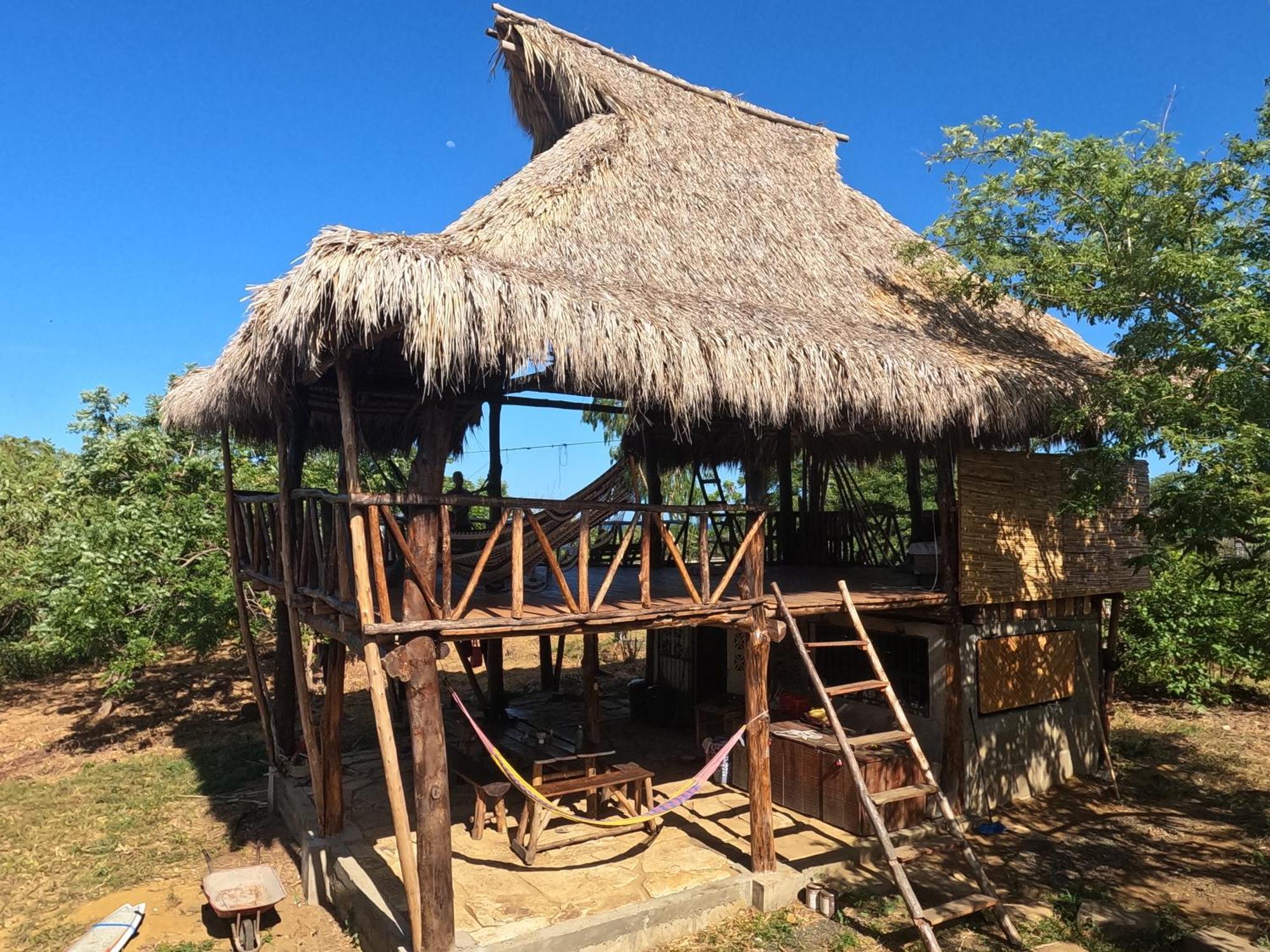 Palapa Hostel Transito Экстерьер фото