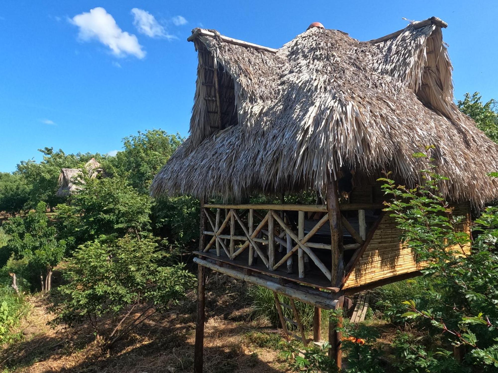 Palapa Hostel Transito Экстерьер фото