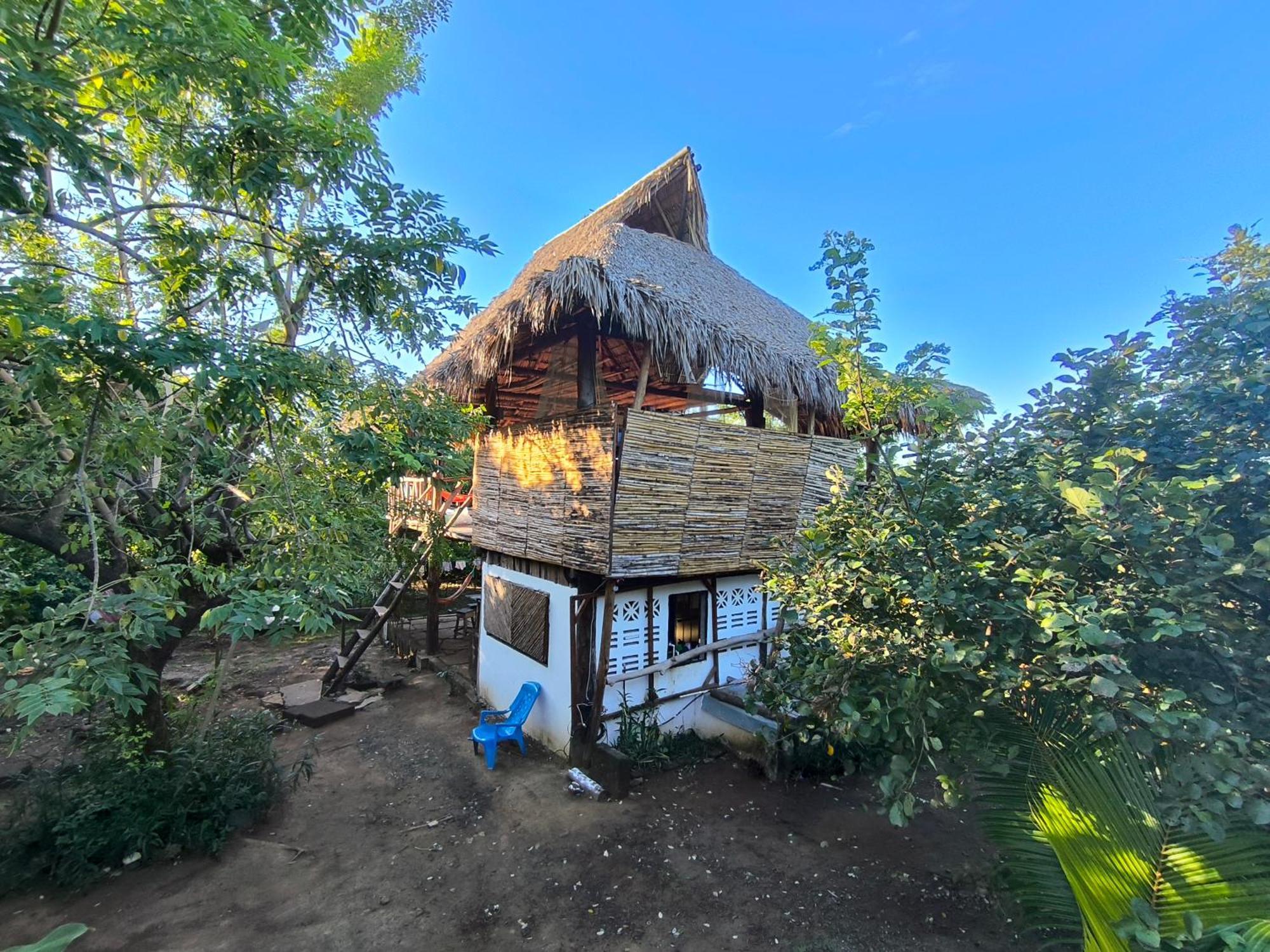 Palapa Hostel Transito Экстерьер фото