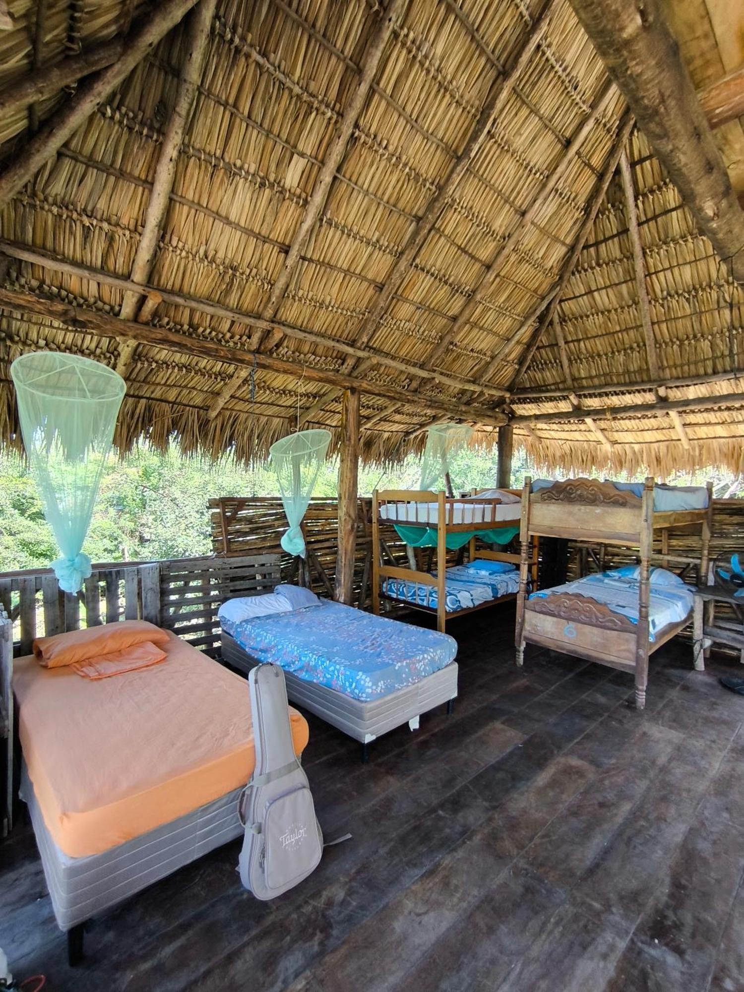 Palapa Hostel Transito Экстерьер фото